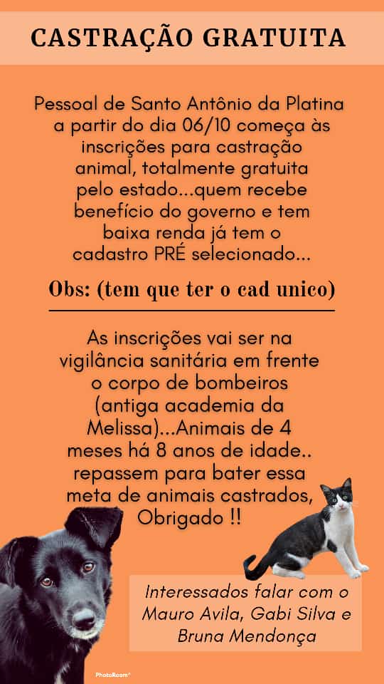 Divulgação Castração de animais